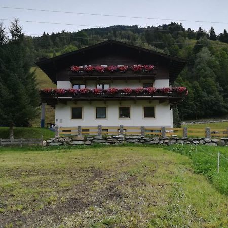 Ferienwohnung Seidl Top 1 劳里斯 外观 照片